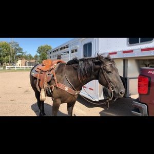 Meet your Posher, Kelsey